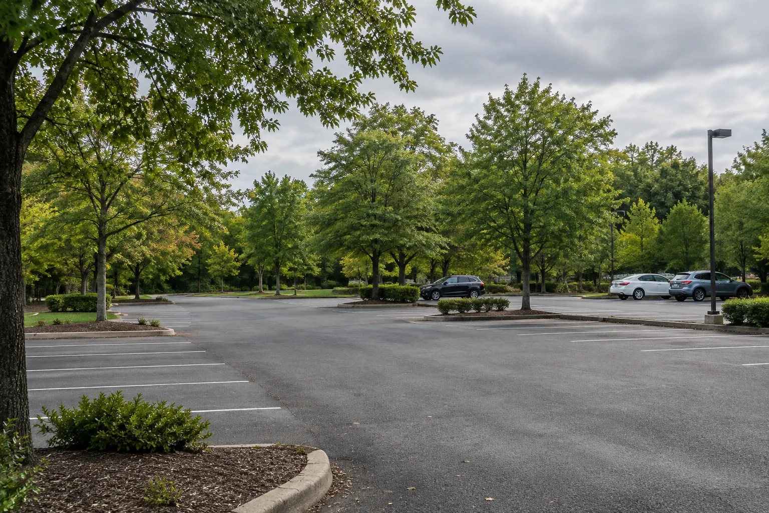 Quiet leafy parking area, future gathering inspiration, AI generated concept